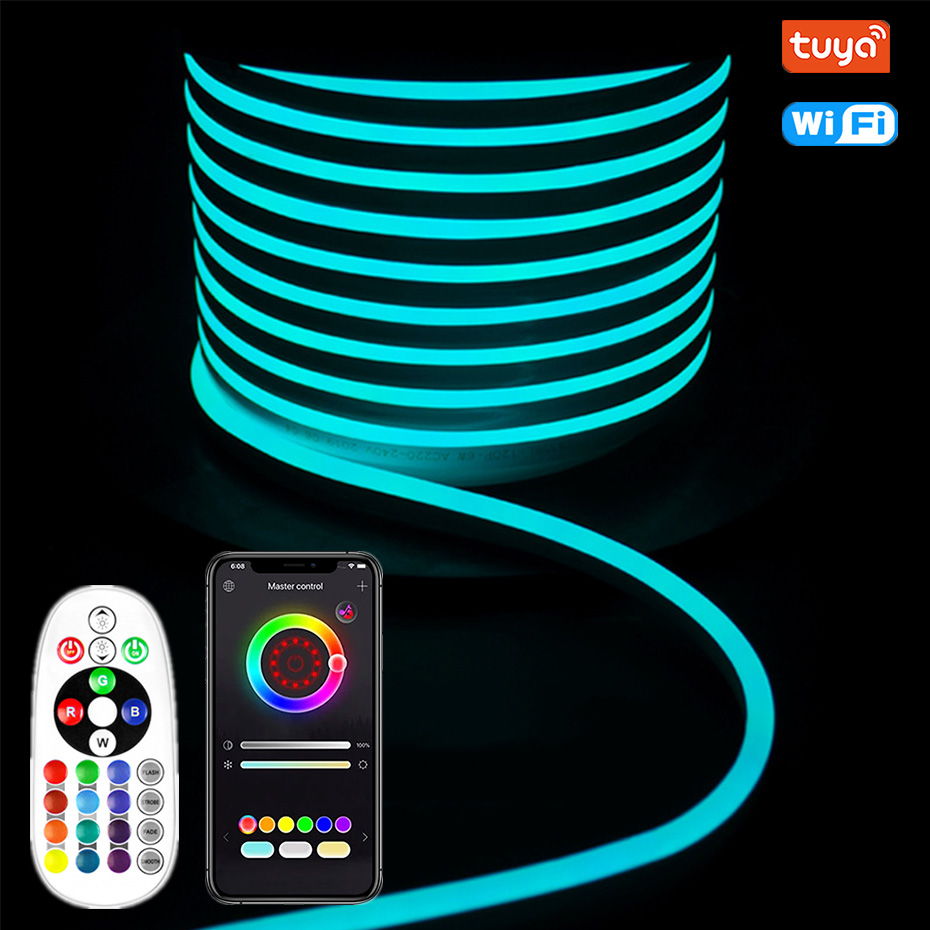 Decor Lighting Uk - Tuya WiFi、Bluetooth、リモコン付き 220V RGB LEDネオンライト 1-100m