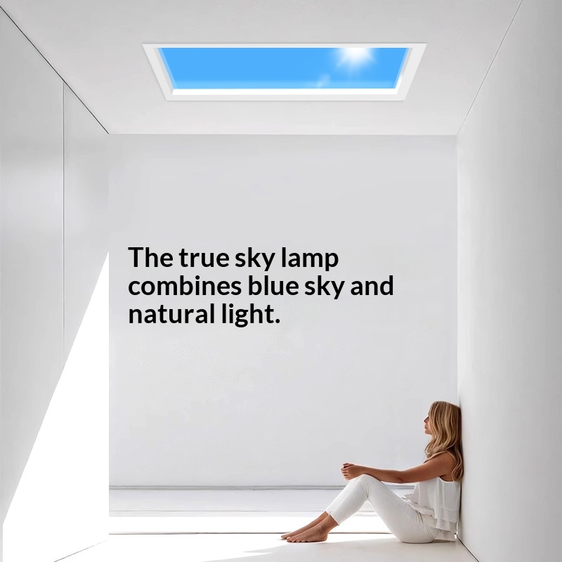 超薄型スマート一体型LEDスカイライト天井照明自然光効果キッ - Lighting Effect Home Decor のレビューと価格